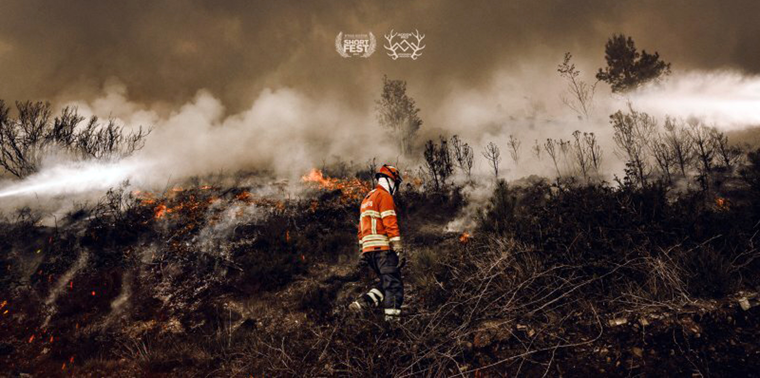 Leonardo DiCaprio produz documentário sobre incêndios de Pedrogão Grande