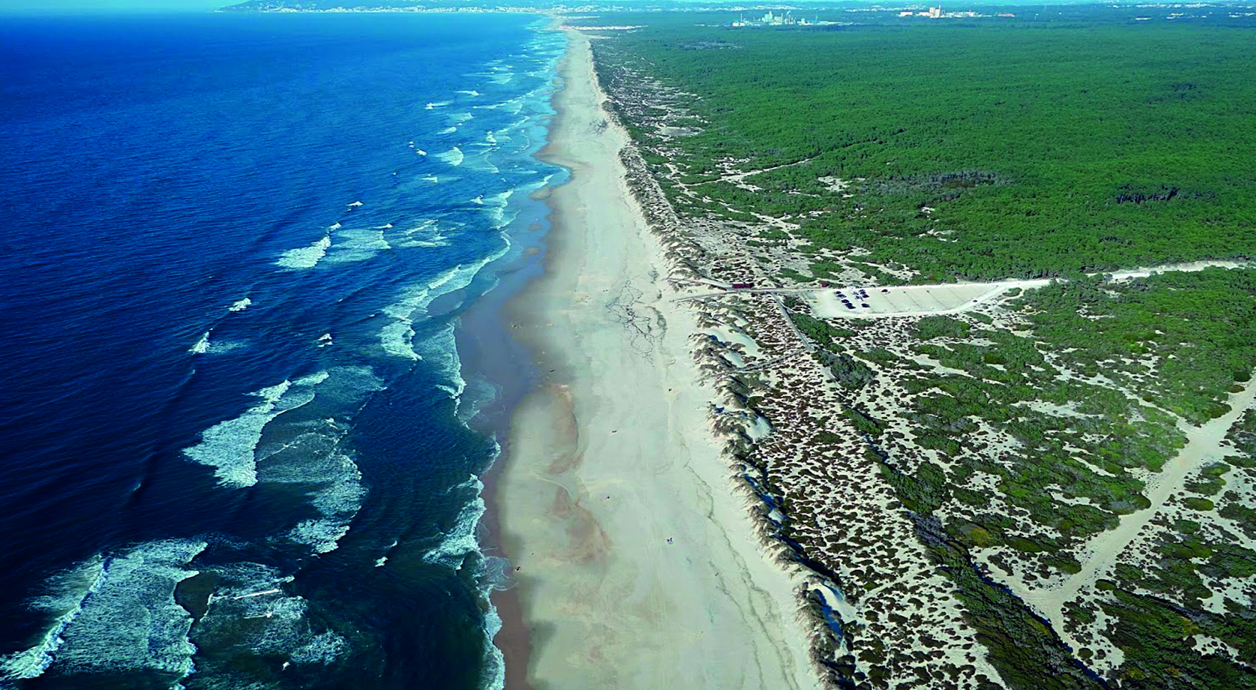 Praia do Osso da Baleia recebe bandeira de qualidade de ouro