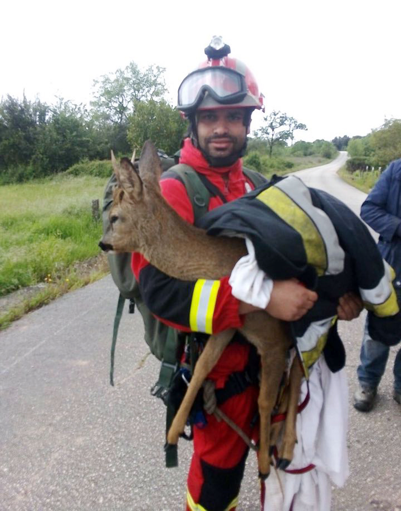 Bombeiros de Ansião salvam corço de afogamento