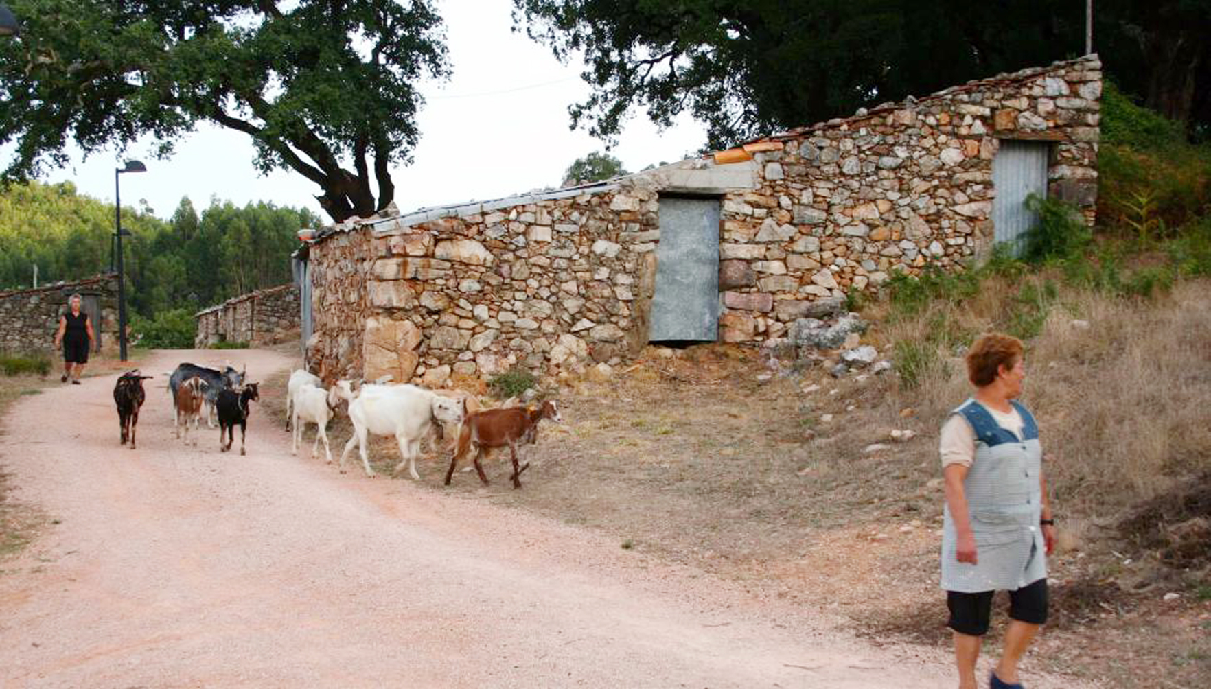 Ferraria de São João e Cumeeira vão ser ‘smart villages’